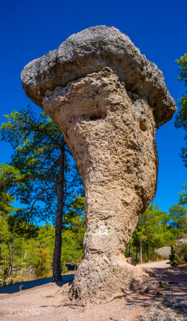 Actividades en Cuenca