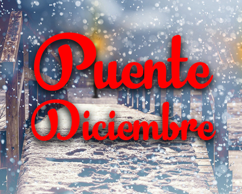 Horarios puente de diciembre 2024